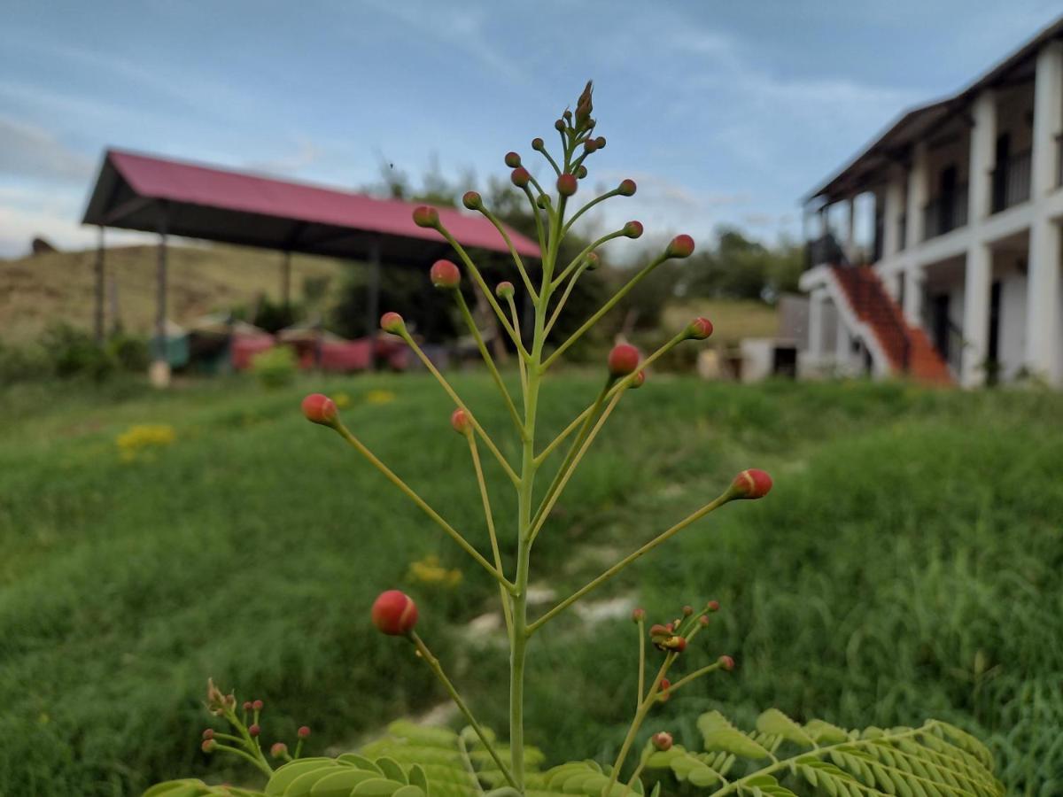 Cosmos Tatacoa Hotel Villavieja Luaran gambar